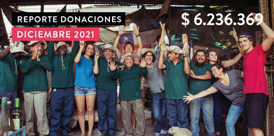 Reporte de Donaciones Diciembre 2021
