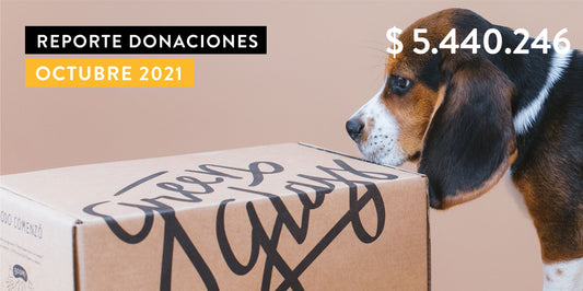 Reporte de Donaciones Octubre 2021