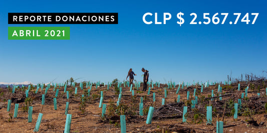 Reporte de Donaciones Abril 2021