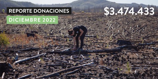 Reporte Donaciones Diciembre 2022
