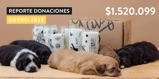 Reporte Donaciones enero 2023