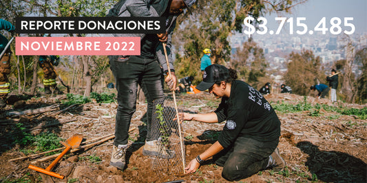 Reporte de Donaciones Noviembre 2022