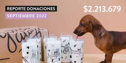 Reporte de Donaciones Septiembre 2022