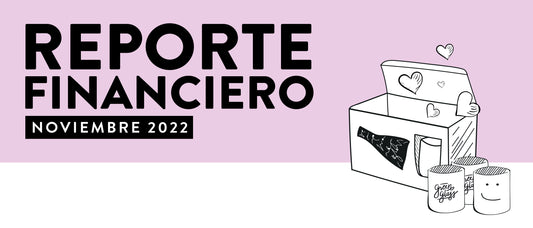 Reporte Financiero Noviembre 2022