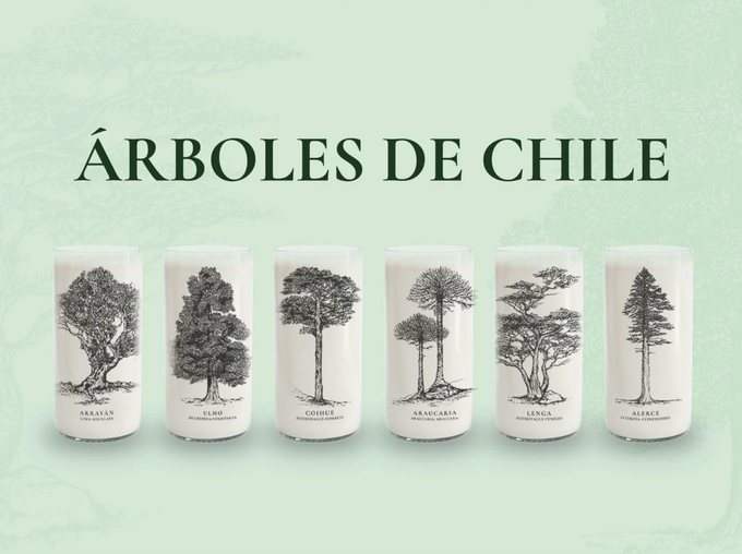 Vasos de Árboles Nativos Chilenos que han financiado más de $50.000.000 en campañas de reforestación