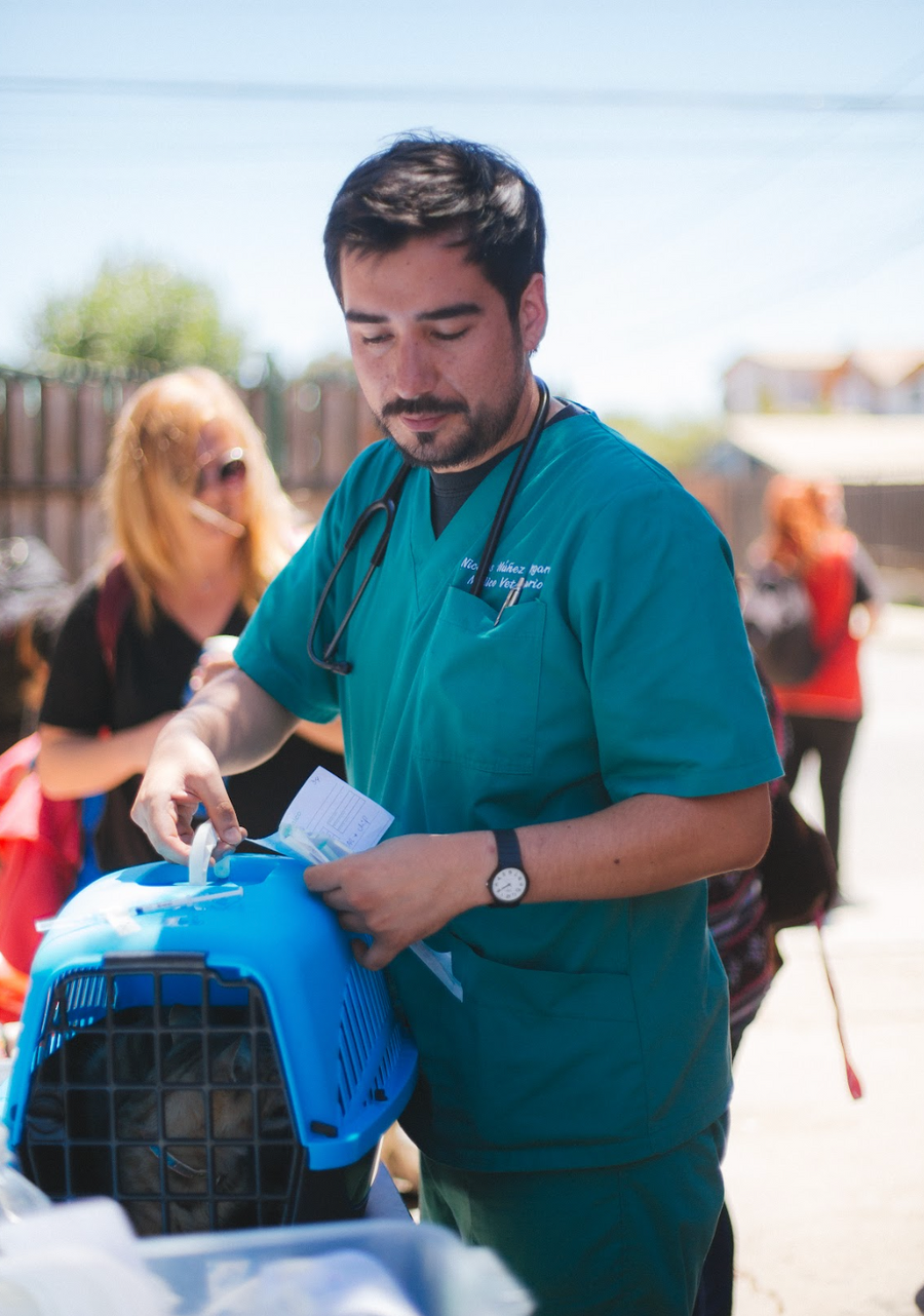 Un veterinario atiende durante el operativo.