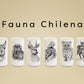 Fauna Chilena - Juego de 6 vasos