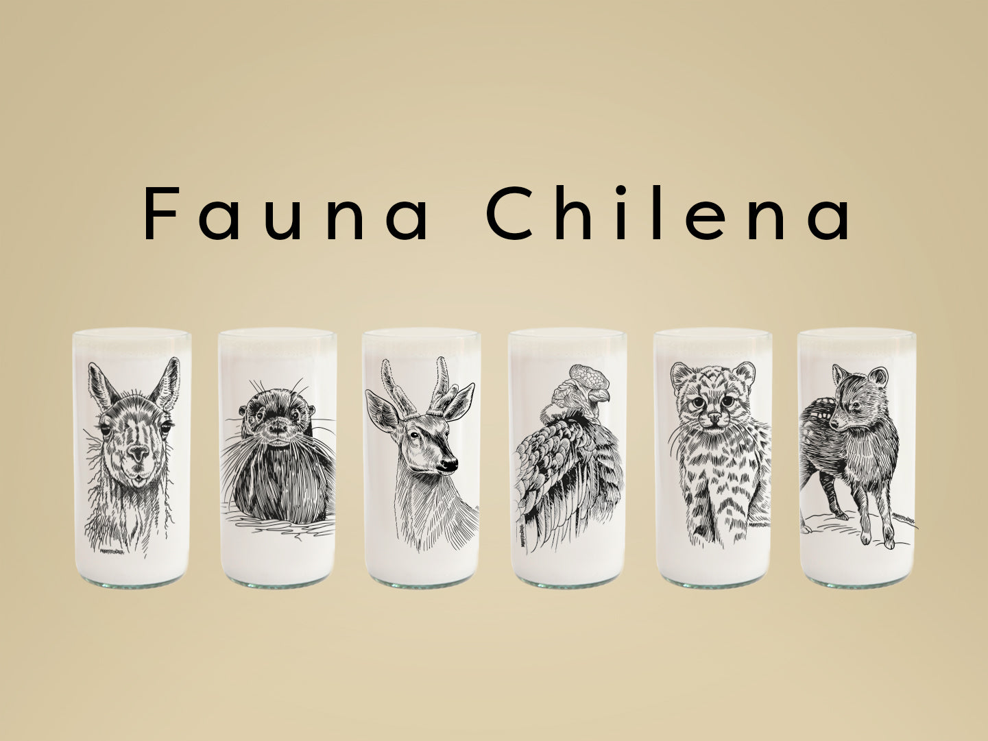 Fauna Chilena - Juego de 6 vasos