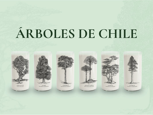 Juego de 6 Vasos Árboles de Chile