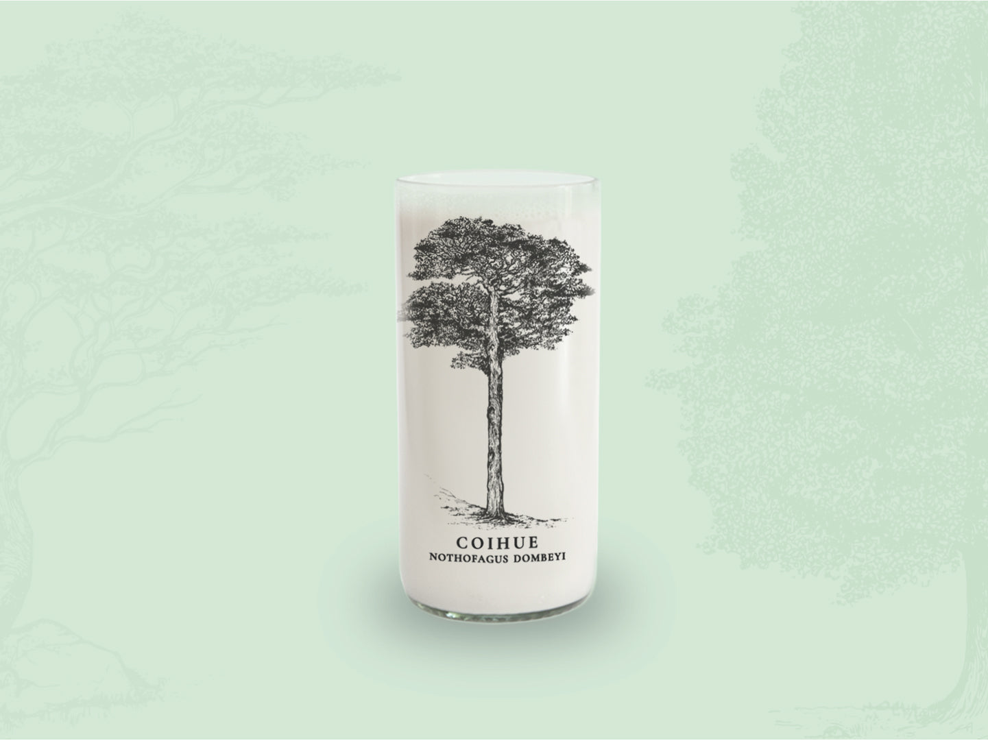 COIHUE - Arboles Nativos Vasos Green Glass