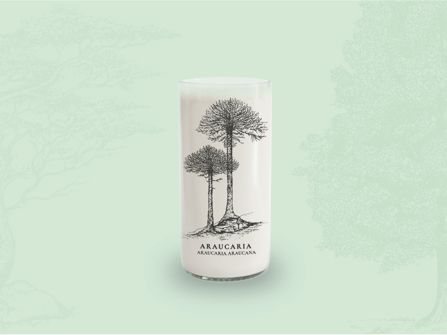 ARAUCANIA - Arboles Nativos Vasos Green Glass