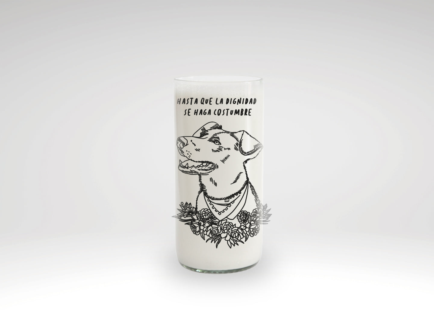 Superhéroes Chilenos Juego de 6 Vasos