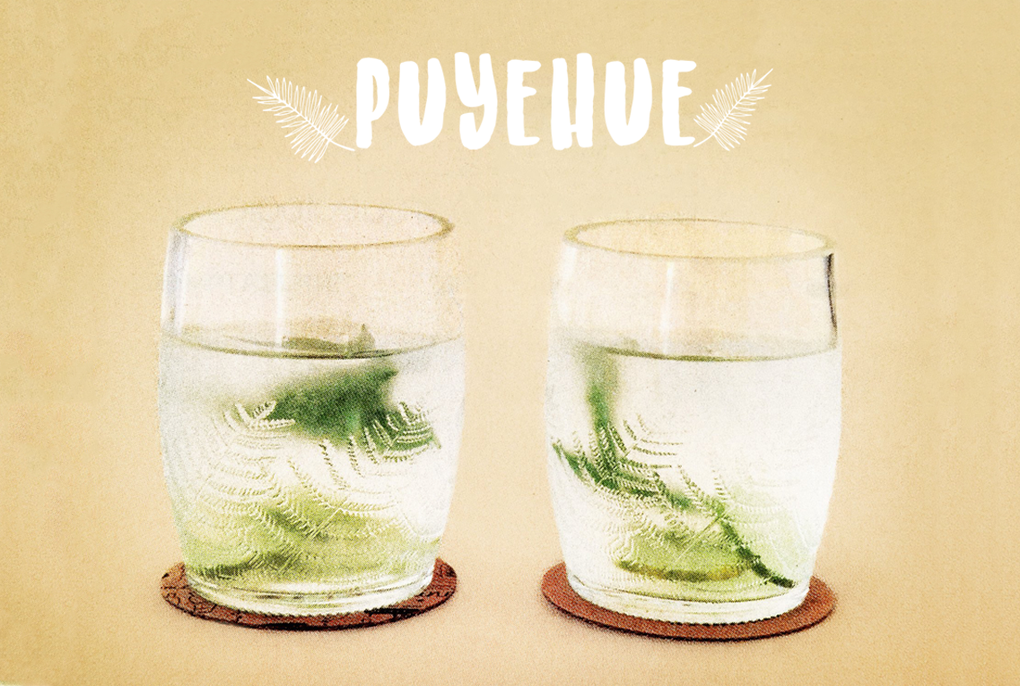 Puyehue Juego de 6 Vasos