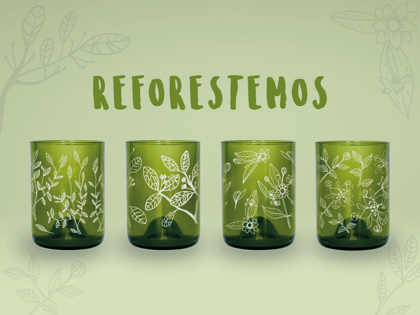 Reforestemos Juego de 4 Vasos