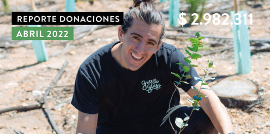 Reporte de Donaciones Abril 2022
