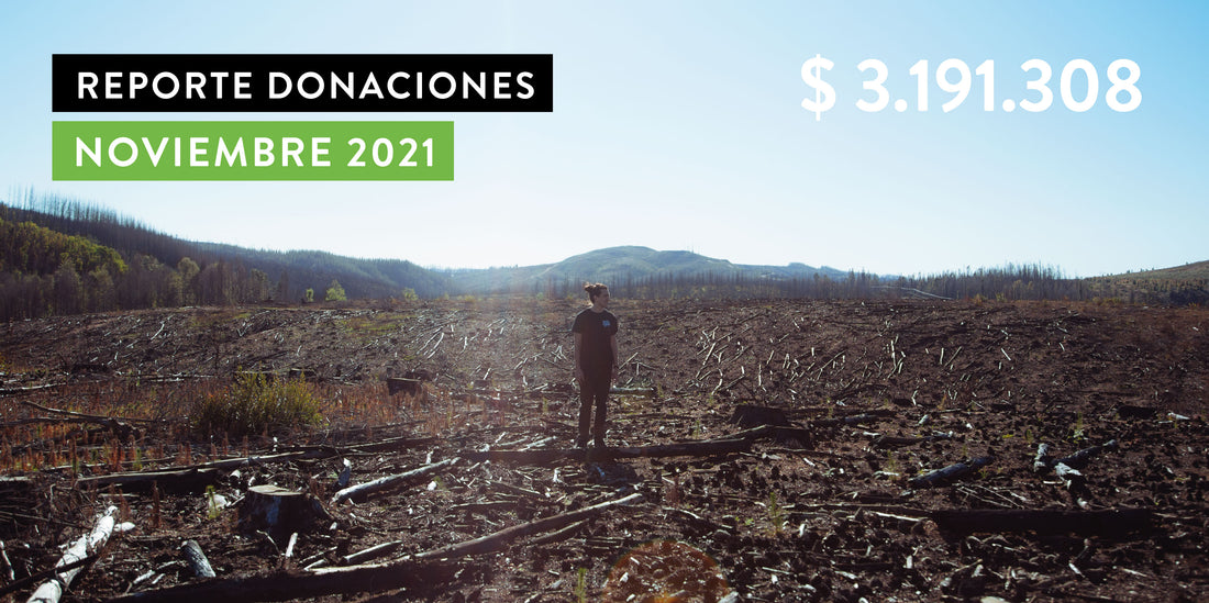 Reporte de Donaciones Noviembre 2021