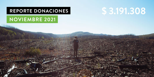 Reporte de Donaciones Noviembre 2021