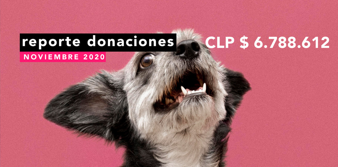 Reporte de Donaciones Noviembre 2020
