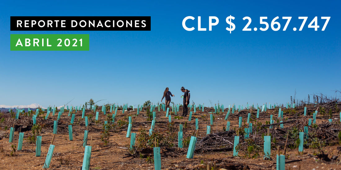 Reporte de Donaciones Abril 2021