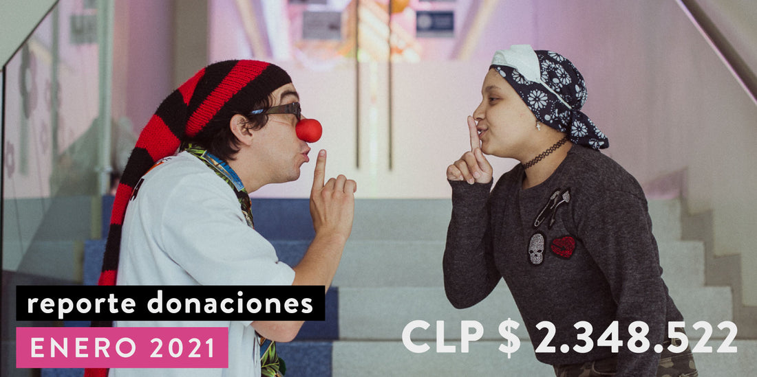 Reporte de Donaciones Enero 2021
