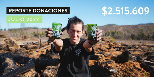 Reporte de Donaciones Julio 2022