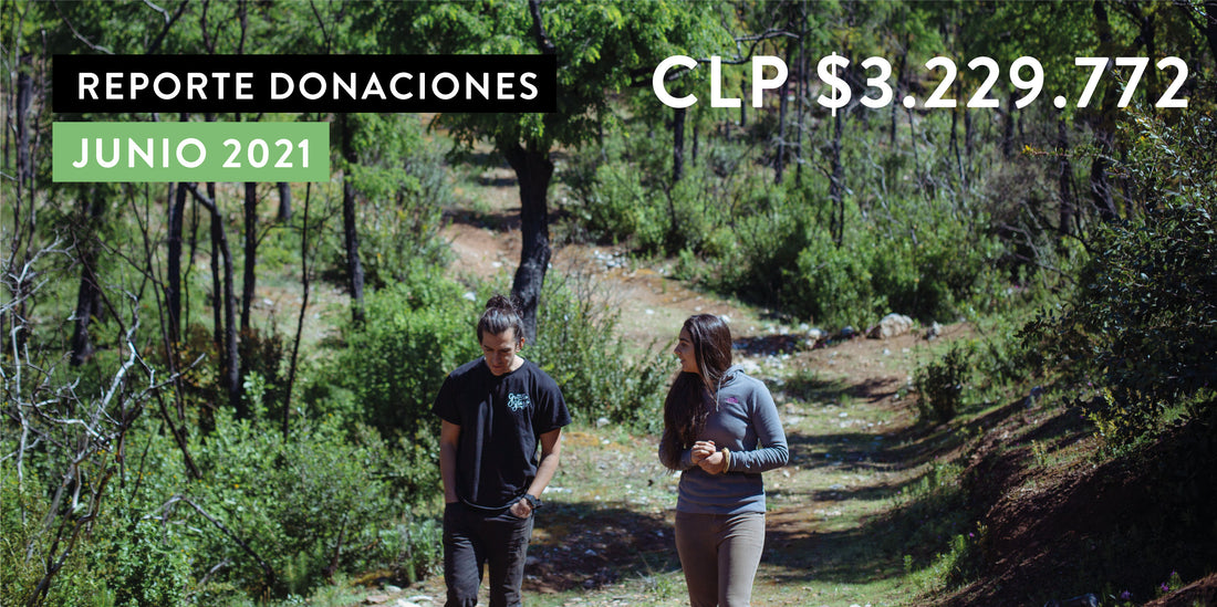 Reporte de Donaciones Junio 2021