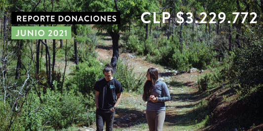Reporte de Donaciones Junio 2021