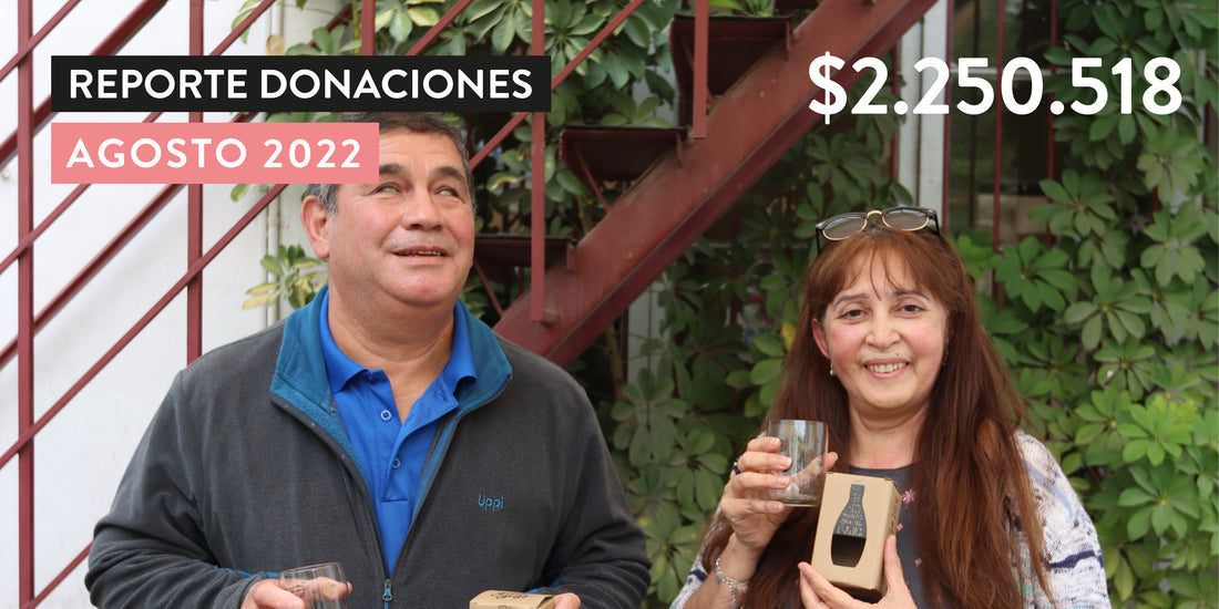 Reporte de Donaciones Agosto 2022