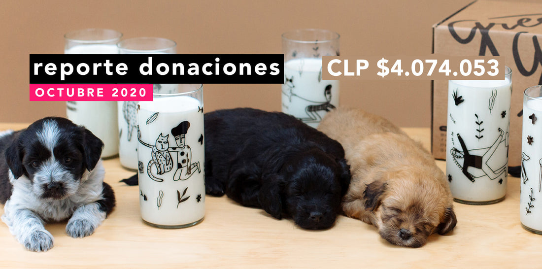 Reporte Donaciones Octubre 2020