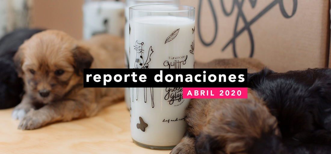 Reporte Donaciones Abril 2020