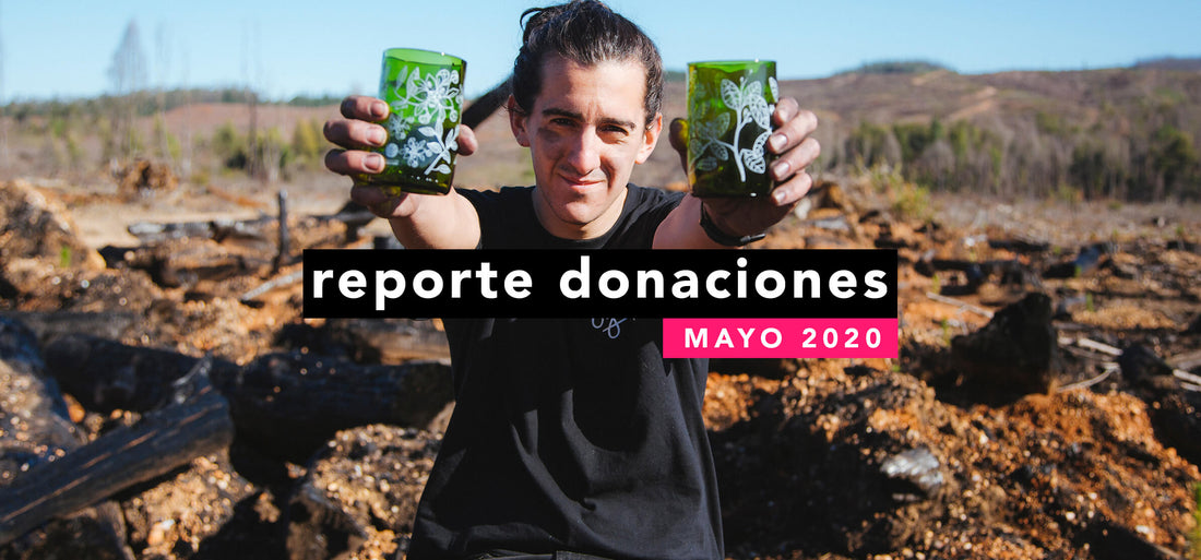 Reporte Donaciones Mayo 2020