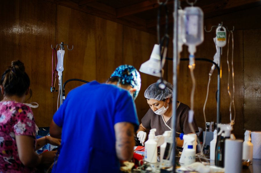 Equipo veterinario trabajando en una jornada de esterilización.