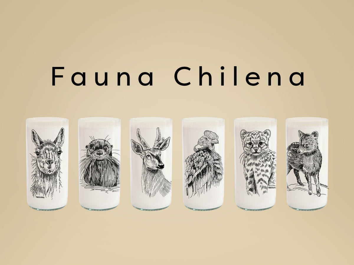 Fauna Chilena - Juego de 6 vasos - 500 m