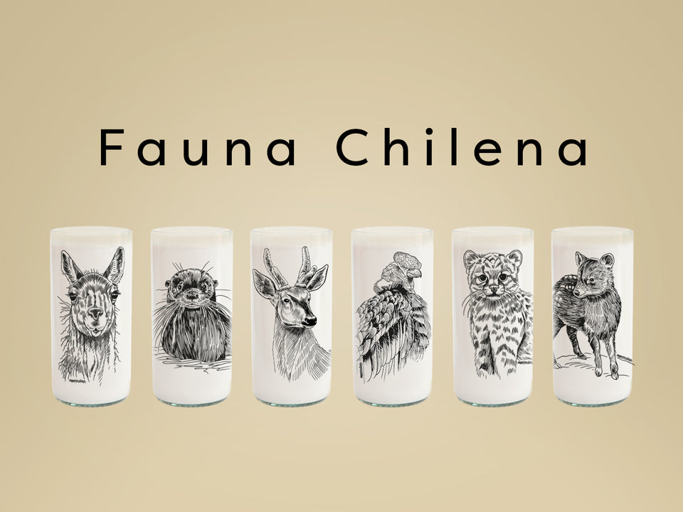 Fauna Chilena - Juego de 6 vasos - 500 m