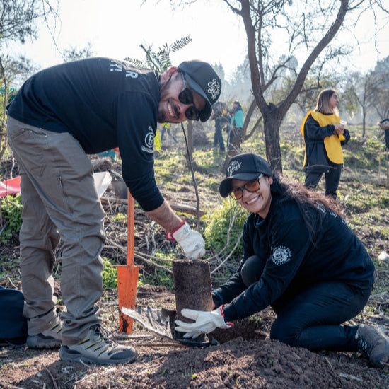 Equipo Green Glass plantando un árbol nativo durante una jornada de reforestación.