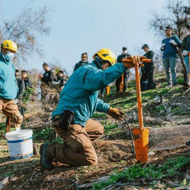 Equipo Green Glass participando en una jornada de reforestación.