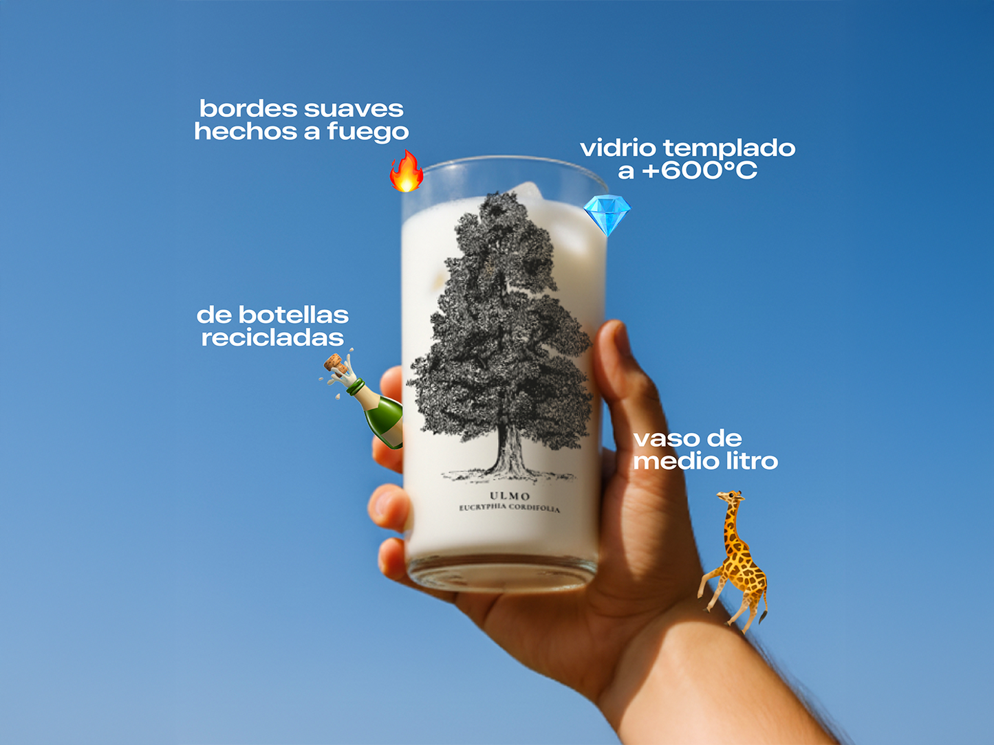 Árboles de Chile - Juego de 6 Vasos - 500 ml