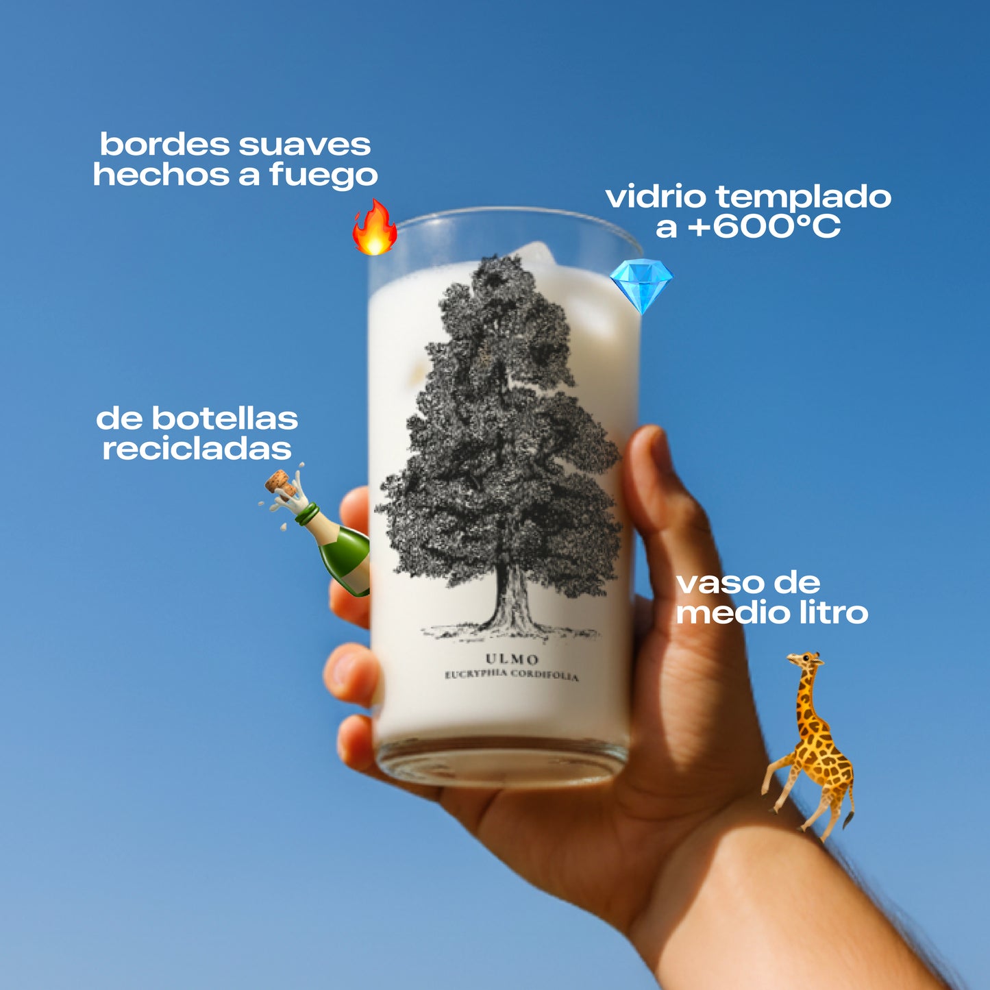 Árboles de Chile - Juego de 6 Vasos - 500 ml