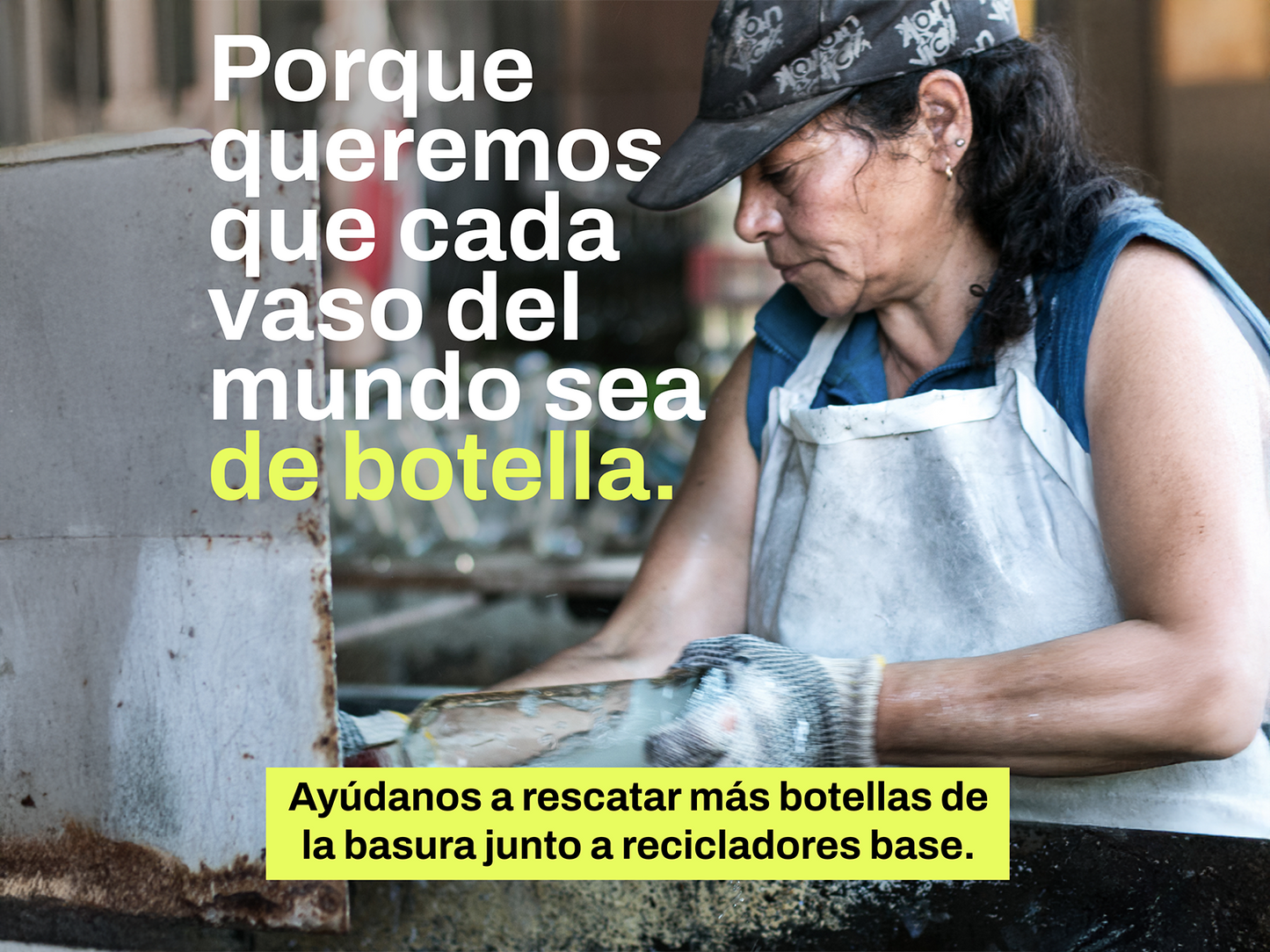 Árboles de Chile - Juego de 6 Vasos - 500 ml