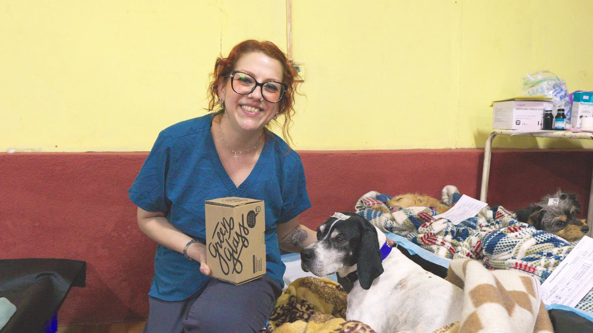 Veterinaria con una caja Green Glass junto a perritos en recuperación