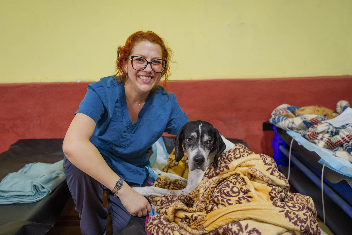 Veterinaria de Quiltro junto a un perrito recuperándose bajo una manta
