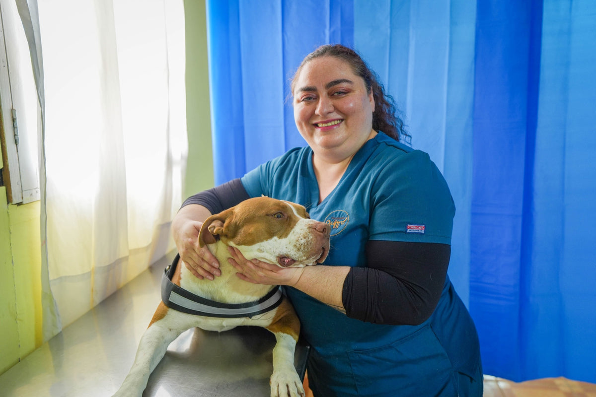 Veterinaria de Quiltro abrazando a un perrito