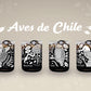 Aves de Chile Juego de 4 Vasos