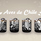 Aves de Chile - Juego de 4 Vasos - 330 ml