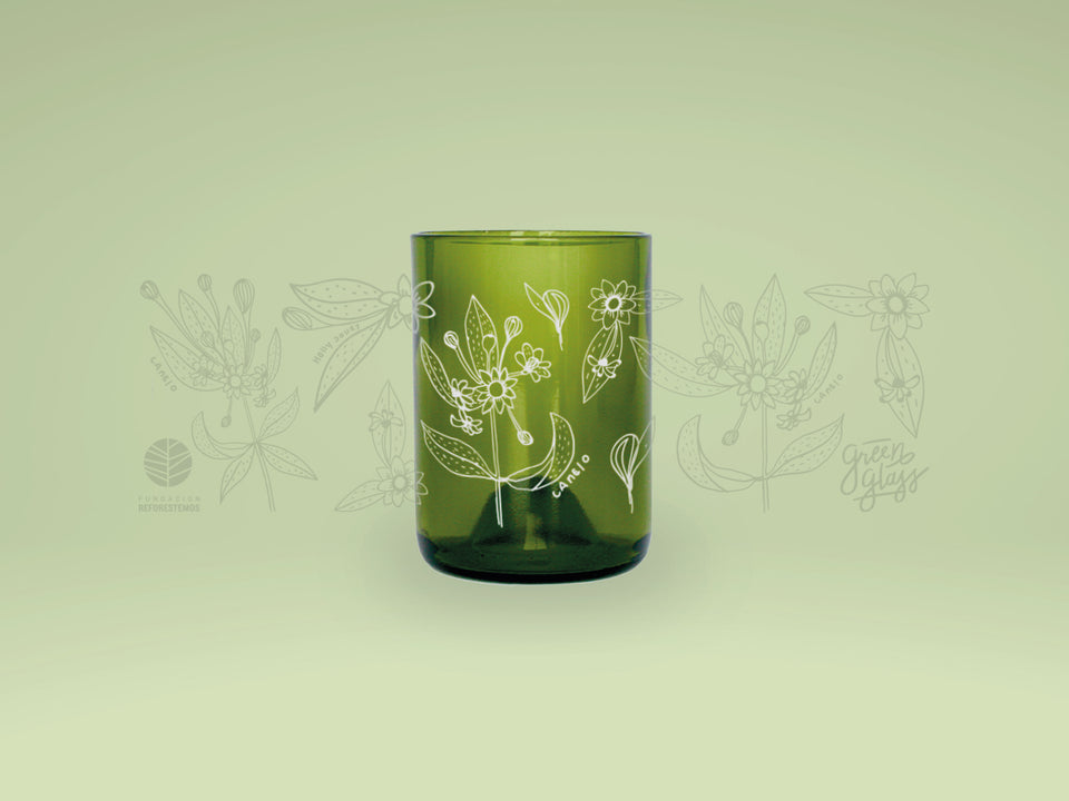 Mini Reforestemos - Juego de 4 Vasos - 200 ml