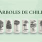 Juego de 6 Vasos Árboles de Chile