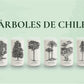 Árboles de Chile - Juego de 6 Vasos - 500 ml
