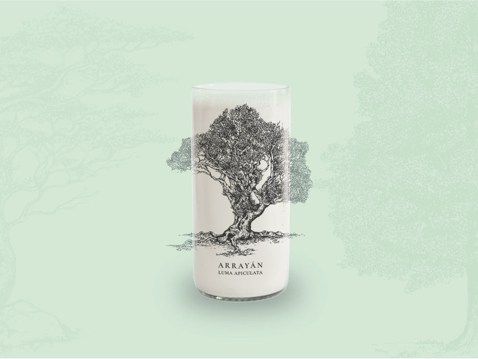 Vaso del árbol arrayan color transparente 500ml