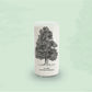 Árboles de Chile - Juego de 6 Vasos - 500 ml