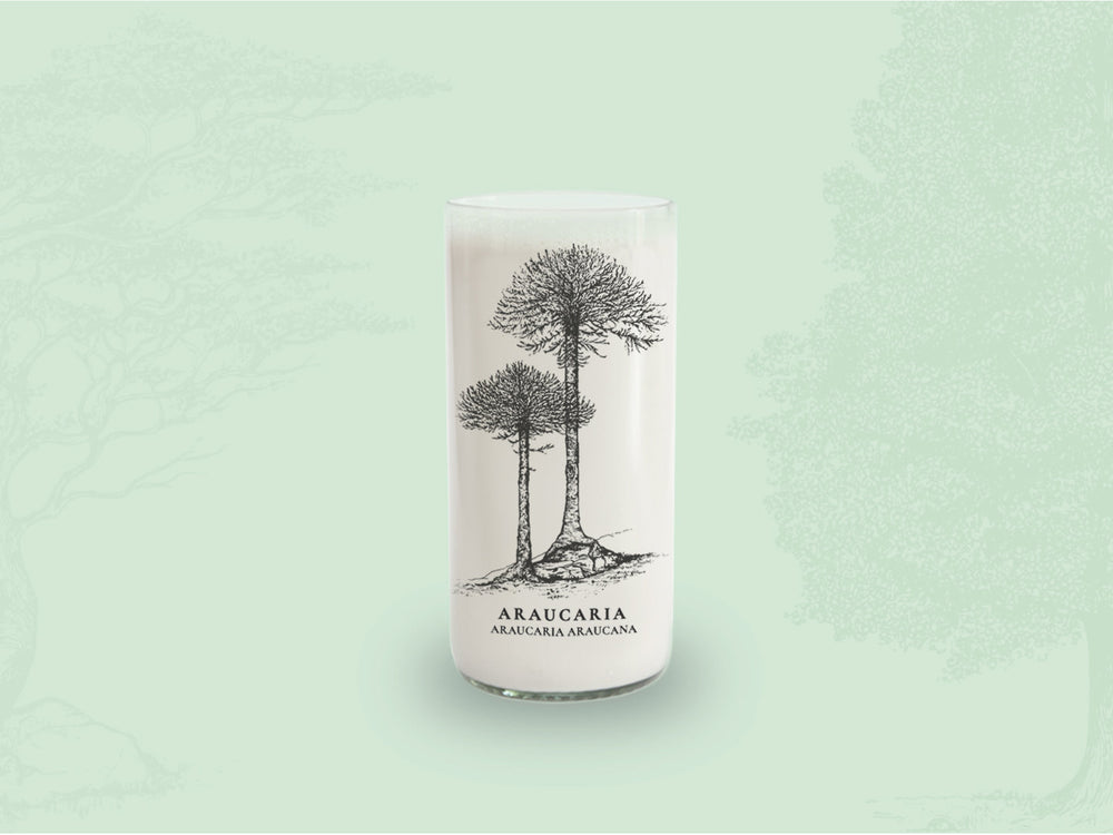 Vasos Unitarios